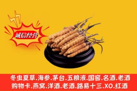 色达县名酒回收冬虫夏草.jpg